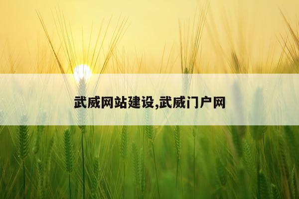 武威网站建设,武威门户网
