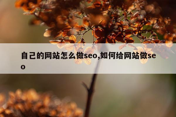 自己的网站怎么做seo,如何给网站做seo