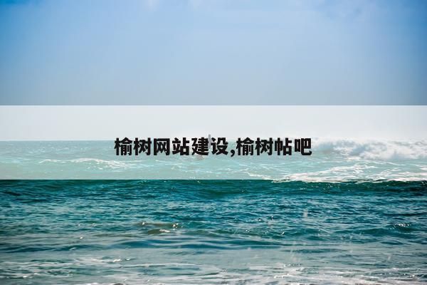 榆树网站建设,榆树帖吧