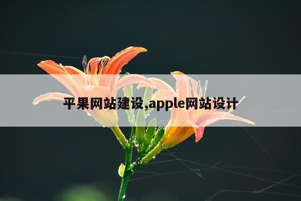 平果网站建设,apple网站设计