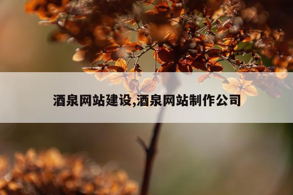 酒泉网站建设,酒泉网站制作公司
