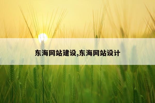 东海网站建设,东海网站设计
