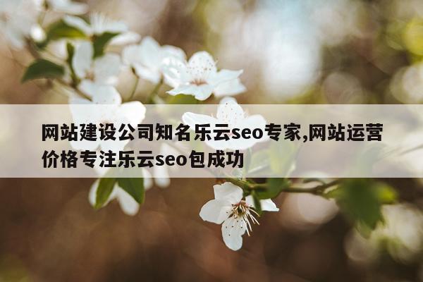 网站建设公司知名乐云seo专家,网站运营价格专注乐云seo包成功