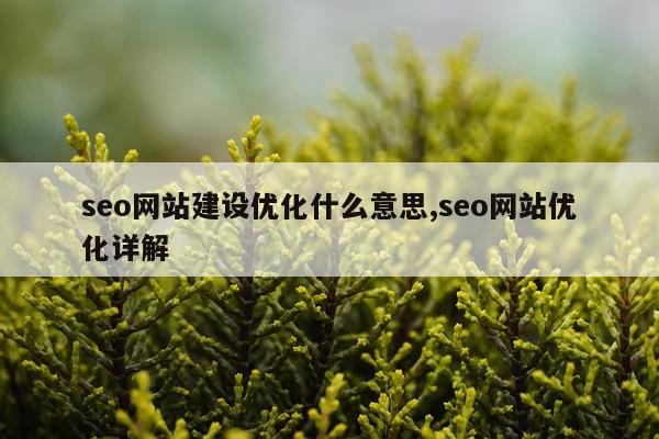 seo网站建设优化什么意思,seo网站优化详解