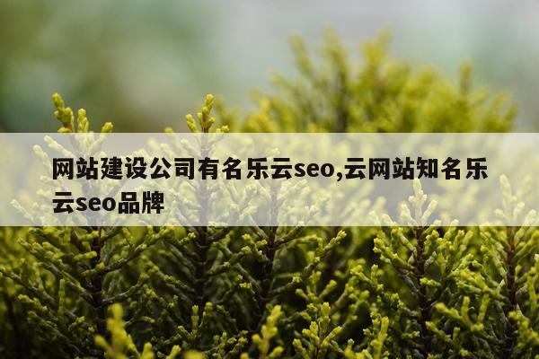 网站建设公司有名乐云seo,云网站知名乐云seo品牌