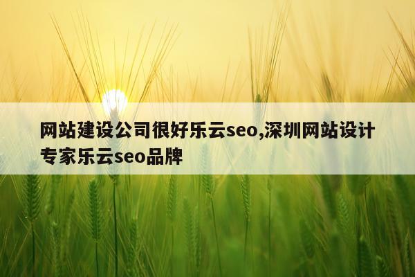 网站建设公司很好乐云seo,深圳网站设计专家乐云seo品牌