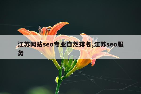 江苏网站seo专业自然排名,江苏seo服务