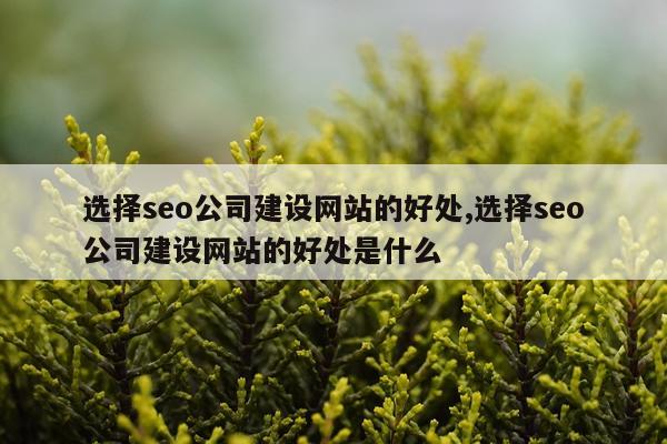 选择seo公司建设网站的好处,选择seo公司建设网站的好处是什么