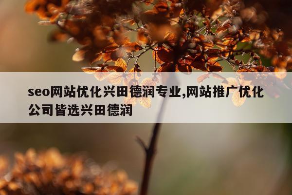seo网站优化兴田德润专业,网站推广优化公司皆选兴田德润
