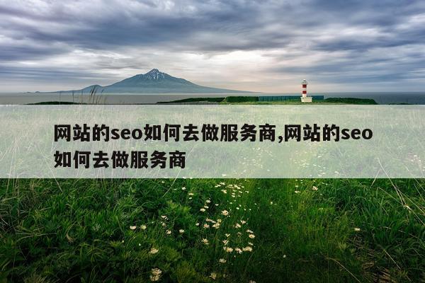 网站的seo如何去做服务商,网站的seo如何去做服务商