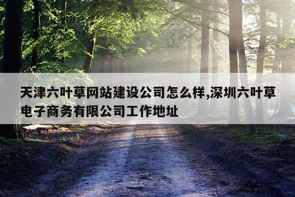 天津六叶草网站建设公司怎么样,深圳六叶草电子商务有限公司工作地址