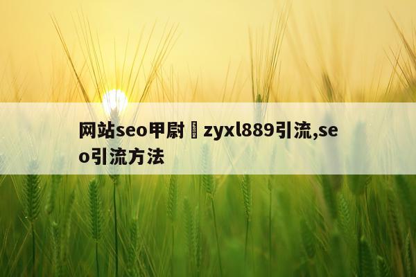 网站seo甲尉鈊zyxl889引流,seo引流方法