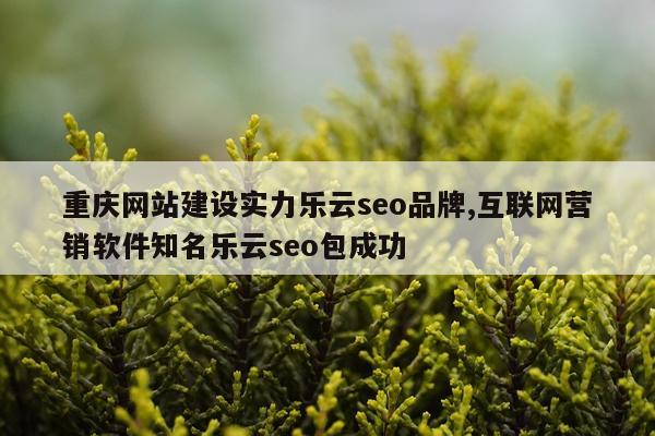 重庆网站建设实力乐云seo品牌,互联网营销软件知名乐云seo包成功