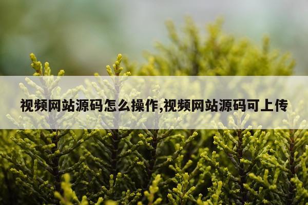 视频网站源码怎么操作,视频网站源码可上传