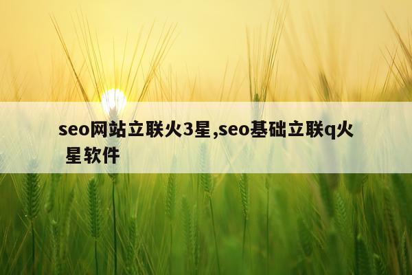 seo网站立联火3星,seo基础立联q火 星软件