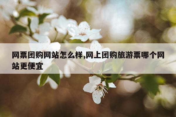 网票团购网站怎么样,网上团购旅游票哪个网站更便宜