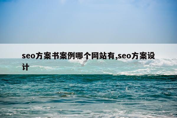 seo方案书案例哪个网站有,seo方案设计