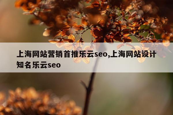 上海网站营销首推乐云seo,上海网站设计知名乐云seo