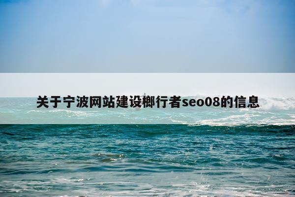 关于宁波网站建设榔行者seo08的信息