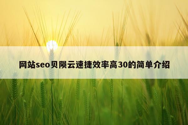 网站seo贝陨云速捷效率高30的简单介绍
