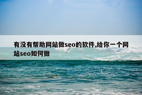 有没有帮助网站做seo的软件,给你一个网站seo如何做