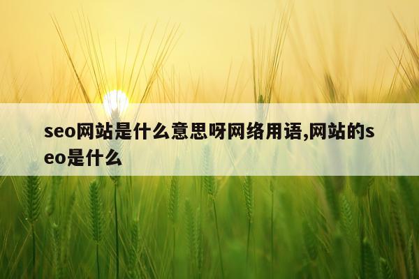 seo网站是什么意思呀网络用语,网站的seo是什么