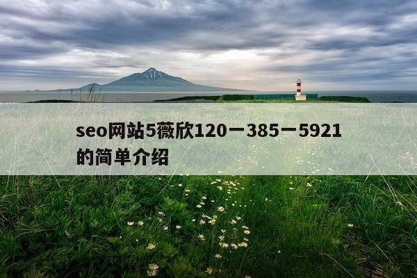 seo网站5薇欣120一385一5921的简单介绍