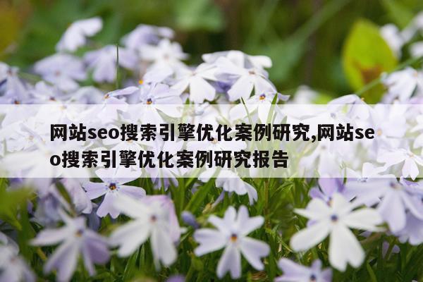 网站seo搜索引擎优化案例研究,网站seo搜索引擎优化案例研究报告