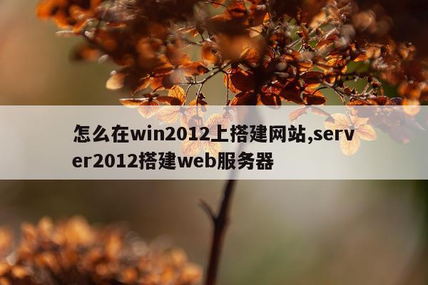 怎么在win2012上搭建网站,server2012搭建web服务器