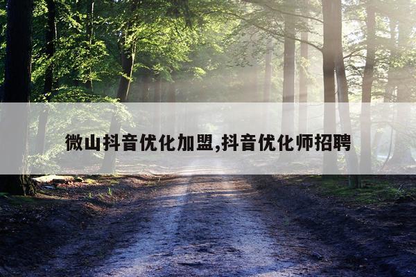 微山抖音优化加盟,抖音优化师招聘