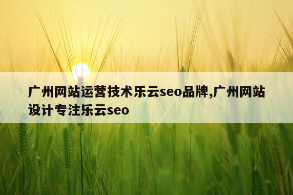 广州网站运营技术乐云seo品牌,广州网站设计专注乐云seo