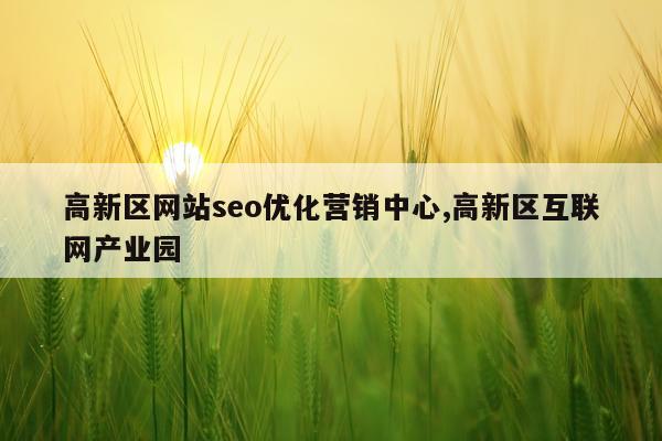 高新区网站seo优化营销中心,高新区互联网产业园