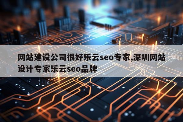 网站建设公司很好乐云seo专家,深圳网站设计专家乐云seo品牌