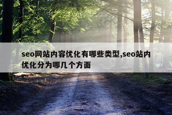 seo网站内容优化有哪些类型,seo站内优化分为哪几个方面