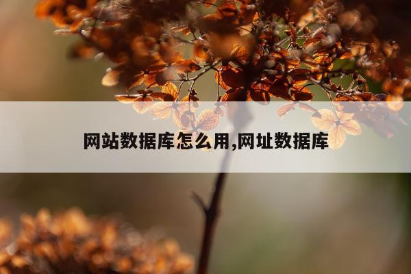 网站数据库怎么用,网址数据库