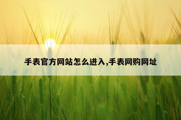 手表官方网站怎么进入,手表网购网址