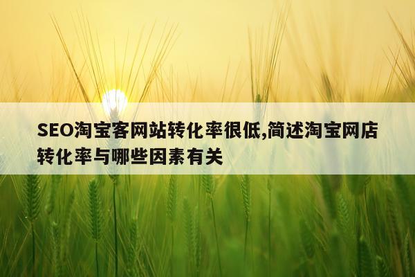 SEO淘宝客网站转化率很低,简述淘宝网店转化率与哪些因素有关