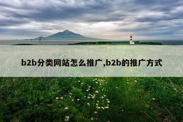 b2b分类网站怎么推广,b2b的推广方式