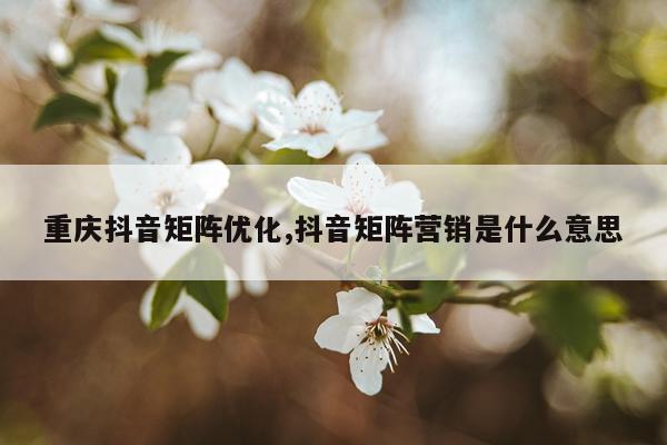 重庆抖音矩阵优化,抖音矩阵营销是什么意思