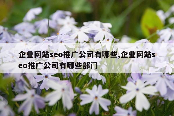 企业网站seo推广公司有哪些,企业网站seo推广公司有哪些部门