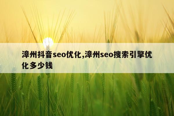 漳州抖音seo优化,漳州seo搜索引擎优化多少钱