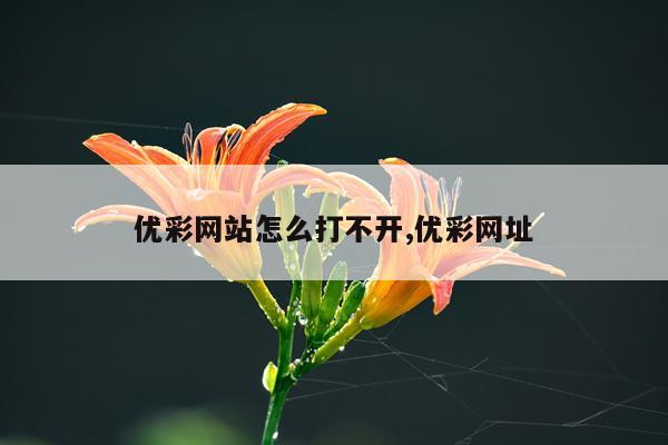 优彩网站怎么打不开,优彩网址