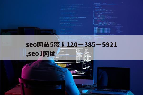 seo网站5薇伈120一385一5921,seo1网址