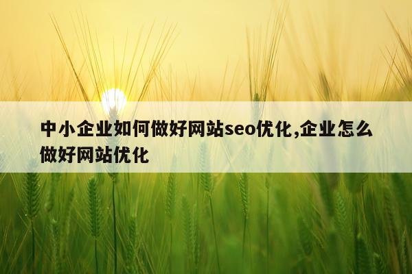 中小企业如何做好网站seo优化,企业怎么做好网站优化