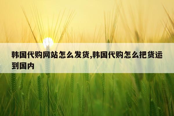 韩国代购网站怎么发货,韩国代购怎么把货运到国内