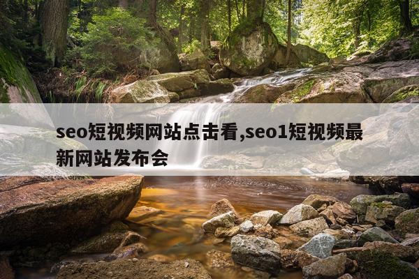 seo短视频网站点击看,seo1短视频最新网站发布会