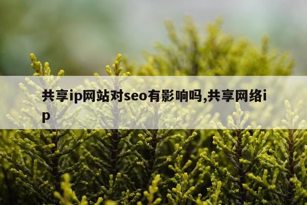 共享ip网站对seo有影响吗,共享网络ip