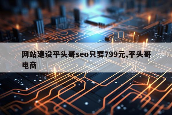 网站建设平头哥seo只要799元,平头哥电商