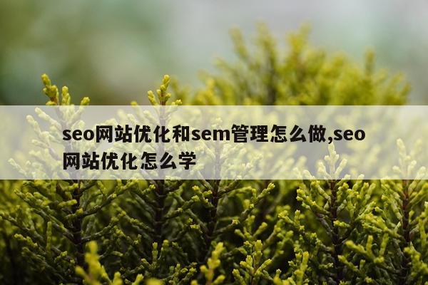 seo网站优化和sem管理怎么做,seo网站优化怎么学