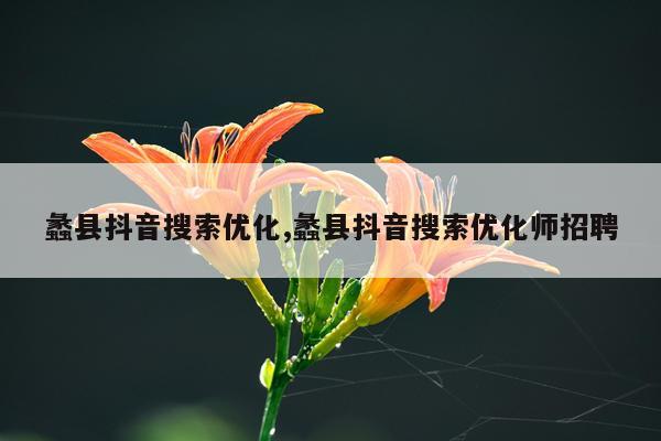 蠡县抖音搜索优化,蠡县抖音搜索优化师招聘